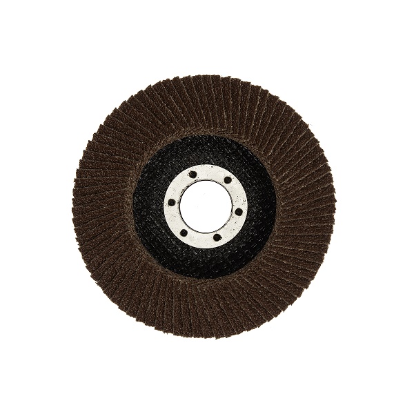 MAMUT LAMELNI BRUSNI DISK 125X22 A 60 T27 FE