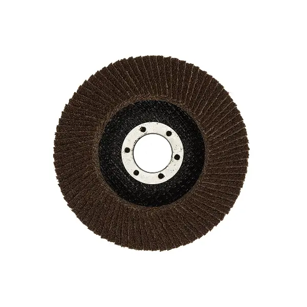 509 MAMUT LAMELNI BRUSNI DISK 115X22 A 40 T27 FE