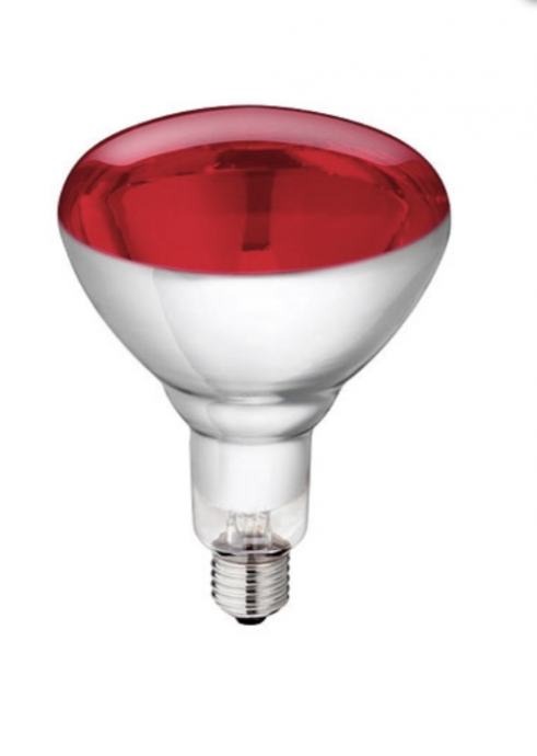 ŽARULJA  INFRA RUBIN 250W